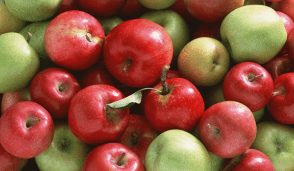 りんごは美容と健康効果に優れた果物！りんごで美白美肌・ダイエットまで出来る！
